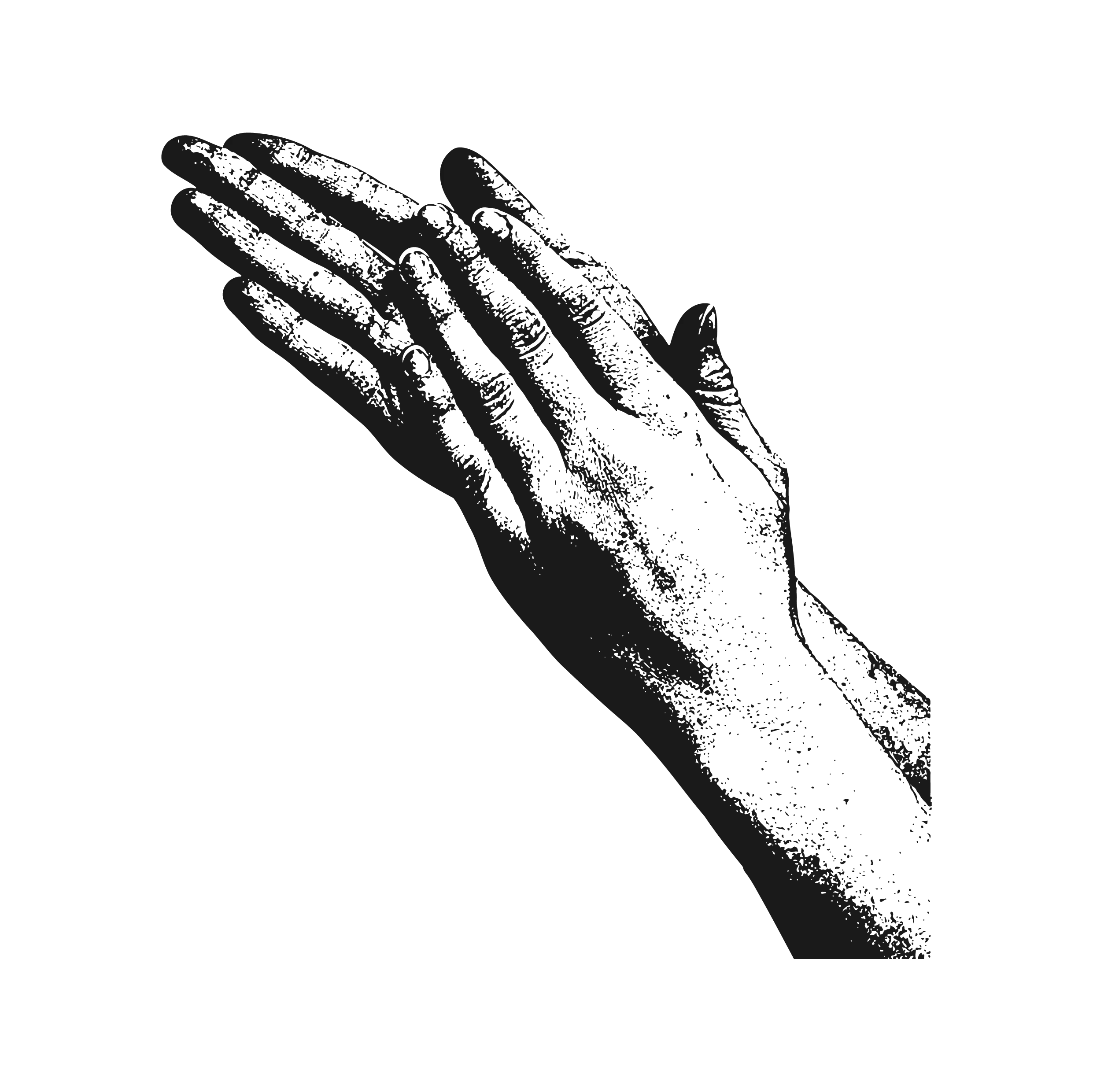 A1image